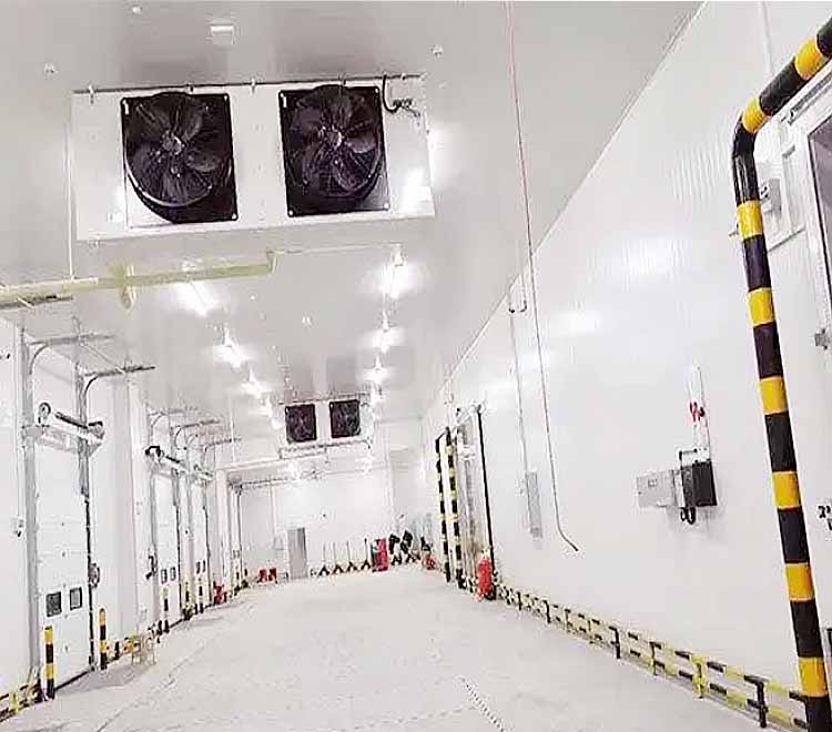 Vegetable cold storage